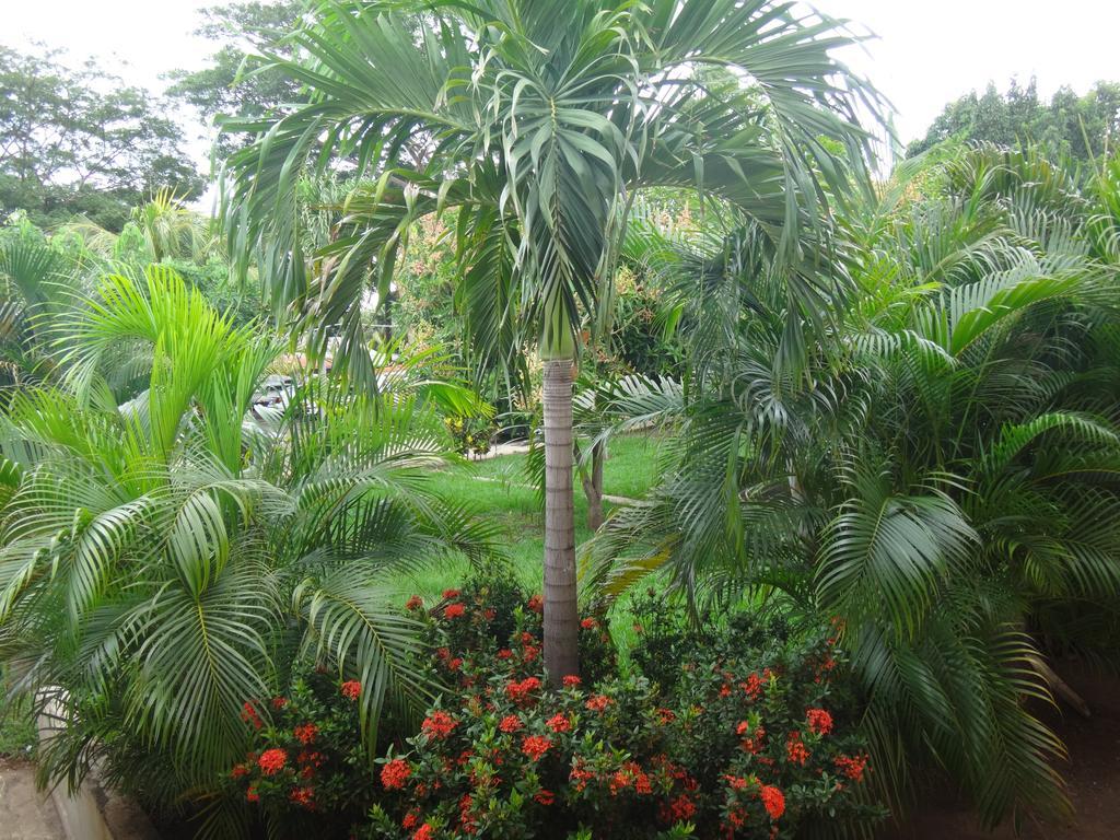 Hotel La Arboleda Managua Eksteriør bilde