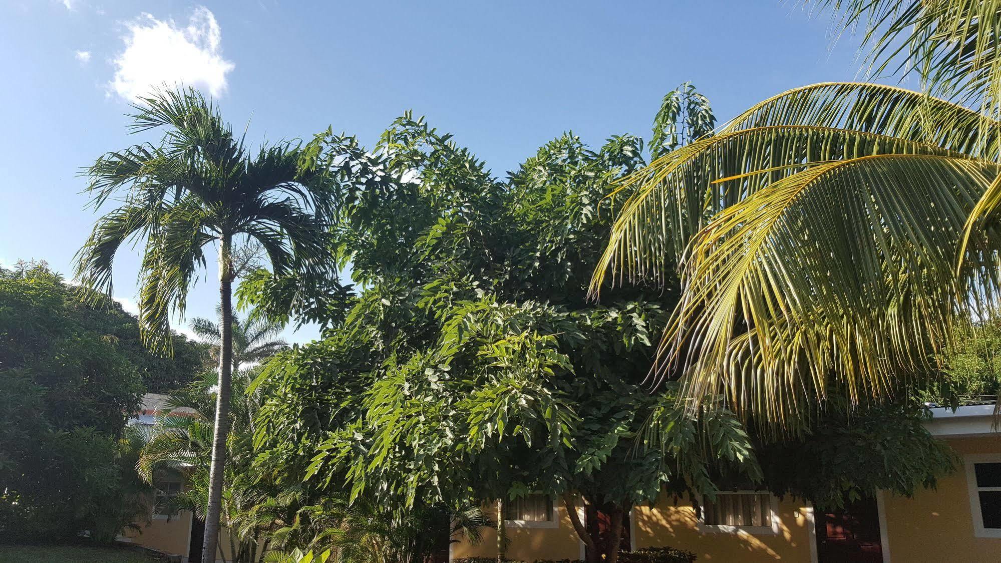 Hotel La Arboleda Managua Eksteriør bilde