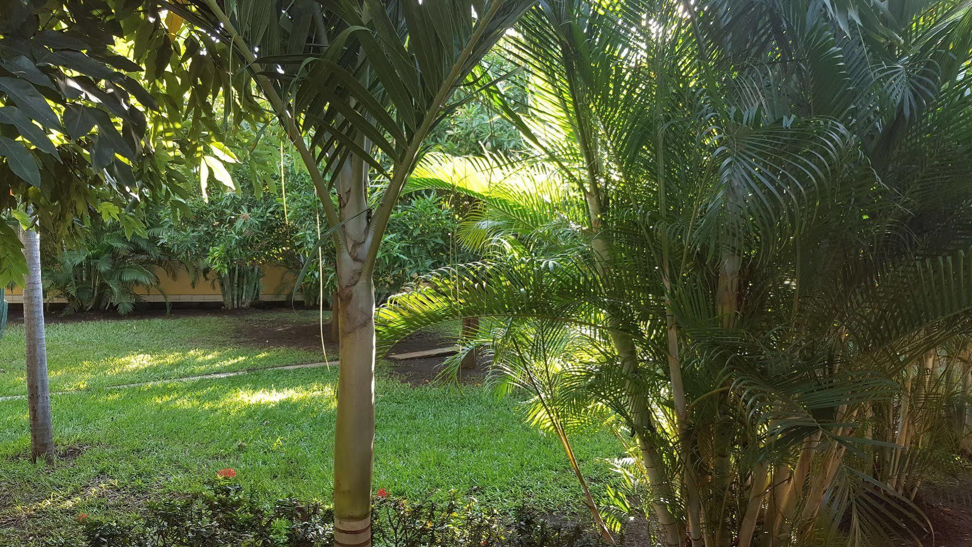 Hotel La Arboleda Managua Eksteriør bilde